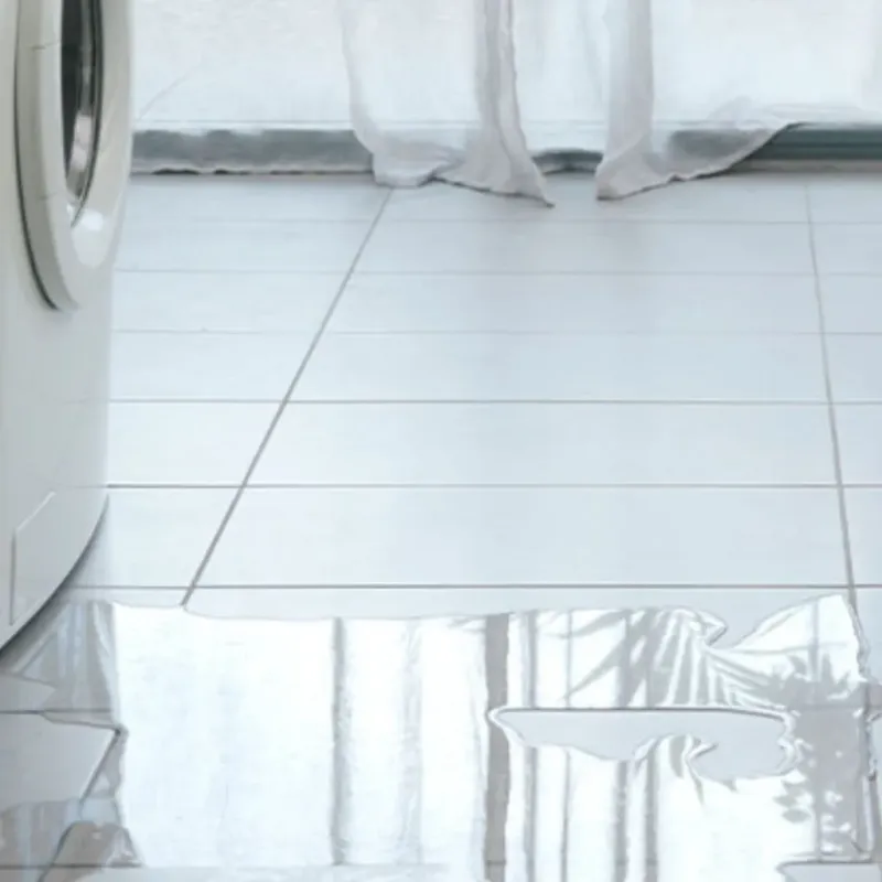Appliance Leak Cleanup in Livermore, ME