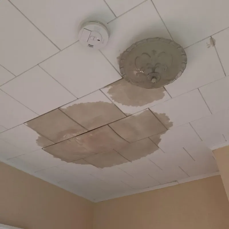 Ceiling Water Damage Repair in Livermore, ME