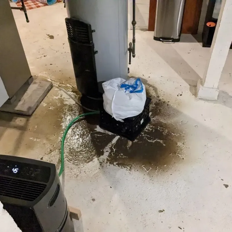 Sewage Backup Cleanup Service in Livermore, ME